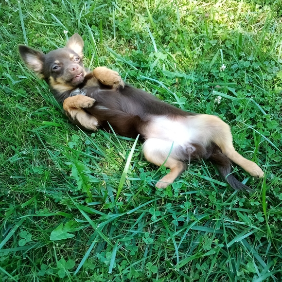 Meet your Posher, !Beth - Picture 7 of 8